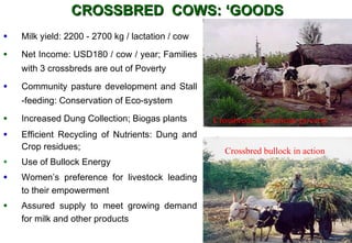 Livestock goods - Pathways out of poverty:  experiences from South Asia