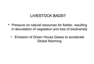 Livestock goods - Pathways out of poverty:  experiences from South Asia