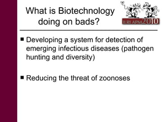 Livestock goods and bads: Perspectives from ILRI research