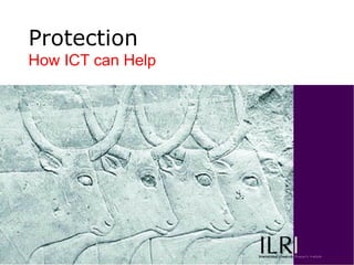 Data management: expose, preserve, protect