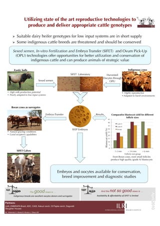 Utilizing state of the art reproductive technologies to
                          produce and deliver appropriate cattle genotypes

             Suitable dairy heifer genotypes for low input systems are in short supply
             Some indigenous cattle breeds are threatened and should be conserved

          Sexed semen, In-vitro Fertilization and Embryo Transfer (SIFET) and Ovum Pick-Up
           (OPU) technologies offer opportunities for better utilization and conservation of
                    indigenous cattle and can produce animals of strategic value

           Exotic bulls                                                                                                                                                     Indigenous cows
                                                                                            SIFET Laboratory              Harvested
                                                                                                                        Oocytes through
                                             Sexed semen                                                                    OPU



   •  High milk production potential                                                                                                                                   •  Highly reproductive
   •  Poorly adapted to low input systems                                                                                                                              •  Adapted to harsh environments




        Boran cows as surrogates

                                                        Embryo Transfer                                        Results                                 Comparative blastocyst yield for different
                                                                                                                                                                    follicle sizes
                                                                                                                                                  45
                                                                                                                                                  40
                                                                                                                                                             Grade A
                                                                                                                                                  35         Grade B

                                                                                               IVEP Embryos                                       30
                                                                                                                           Blastocyst yield (%)




                                                                                                                                                             Average
   •  Natural grazing conditions                                                                                                                  25
   •  Good recipient capabilities                                                                                                                 20
                                                                                                                                                  15
                                                                                                                                                  10
                                                                                                                                                   5
                                                                                                                                                   0
              SIFET Calves                                                                                                                                1-3 mm             > 3-6 mm        > 6 mm
                                                                                                                                                                         Follicle size group
                                                                                                                                                         From Boran cows, even small follicles
                                                                                                                                                       produce high quality (grade A) blastocysts




                                                                         Embryos and oocytes available for conservation,
                                                                           breed improvement and diagnostic studies


                                 The    good news is …                                                               And the                       not so good news is …
                                                                                                                                                                                                      April 2010




          Indigenous	
  breeds	
  are	
  excellent	
  oocytes	
  donors	
  and	
  surrogates	
                 Availability	
  &	
  aﬀordability	
  of	
  SIFET	
  is	
  limited


Partners:
UoN, EMBRAPA Brazil, ADC, CAIS, Kakuzi ranch, Ol Pajeta ranch, Dagoretti
Slaughter Houses
By: Mutembei H, Muasa B, Muraya J, Okeyo AM
 