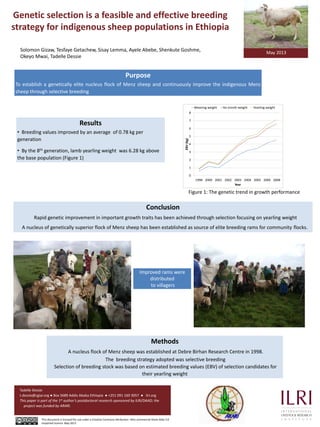 Genetic selection is a feasible and effective breeding
strategy for indigenous sheep populations in Ethiopia
Methods
A nucleus flock of Menz sheep was established at Debre Birhan Research Centre in 1998.
The breeding strategy adopted was selective breeding
Selection of breeding stock was based on estimated breeding values (EBV) of selection candidates for
their yearling weight
Conclusion
Rapid genetic improvement in important growth traits has been achieved through selection focusing on yearling weight
A nucleus of genetically superior flock of Menz sheep has been established as source of elite breeding rams for community flocks.
Purpose
To establish a genetically elite nucleus flock of Menz sheep and continuously improve the indigenous Menz
sheep through selective breeding
Results
• Breeding values improved by an average of 0.78 kg per
generation
• By the 8th generation, lamb yearling weight was 6.28 kg above
the base population (Figure 1)
0
1
2
3
4
5
6
7
8
1998 2000 2001 2002 2003 2004 2005 2006 2008
EBV(kg)
Year
Weaning weight Six month weight Yearling weight
Figure 1: The genetic trend in growth performance
Improved rams were
distributed
to villagers
Solomon Gizaw, Tesfaye Getachew, Sisay Lemma, Ayele Abebe, Shenkute Goshme,
Okeyo Mwai, Tadelle Dessie
May 2013
Tadelle Dessie
t.dessie@cgiar.org ● Box 5689 Addis Ababa Ethiopia ● +251 091 160 3057 ● ilri.org
This paper is part of the 1st author’s postdoctoral research sponsored by ILRI/DAAD; the
project was funded by ARARI.
This document is licensed for use under a Creative Commons Attribution –Non commercial-Share Alike 3.0
Unported Licence May 2013
 