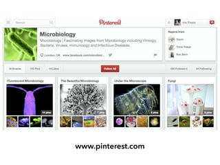www.pinterest.com
 
