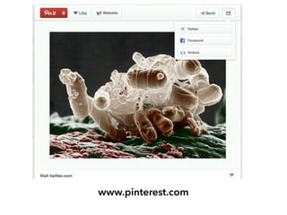 www.pinterest.com
 