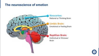 The neuroscience of emotion
 
