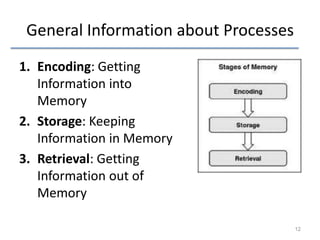 General Information about Processes
1. Encoding: Getting
Information into
Memory
2. Storage: Keeping
Information in Memory
3. Retrieval: Getting
Information out of
Memory
12

 