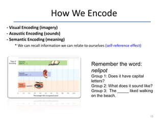 How We Encode
- Visual Encoding (imagery)
- Acoustic Encoding (sounds)
- Semantic Encoding (meaning)
* We can recall information we can relate to ourselves (self-reference effect)

Remember the word:
nelipot
Group 1: Does it have capital
letters?
Group 2: What does it sound like?
Group 3: The _____ liked walking
on the beach.

13

 