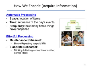 How We Encode (Acquire Information)
Automatic Processing
- Space: location of items
- Time: sequence of the day’s events
- Frequency: how many times things
have happened
Effortful Processing
- Maintenance Rehearsal:
- Simple Repeating keeps it STM

- Elaborate Rehearsal:
- Thinking & Making connections to other
learned ideas

14

 
