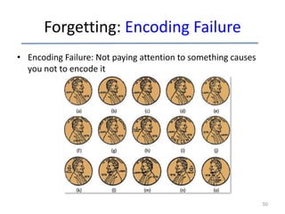 Forgetting: Encoding Failure
• Encoding Failure: Not paying attention to something causes
you not to encode it

50

 