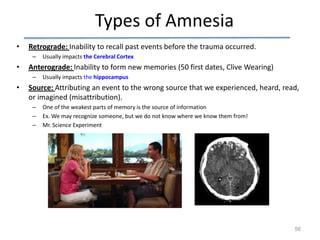 Types of Amnesia
•

Retrograde: Inability to recall past events before the trauma occurred.
–

•

Anterograde: Inability to form new memories (50 first dates, Clive Wearing)
–

•

Usually impacts the Cerebral Cortex
Usually impacts the hippocampus

Source: Attributing an event to the wrong source that we experienced, heard, read,
or imagined (misattribution).
–
–
–

One of the weakest parts of memory is the source of information
Ex. We may recognize someone, but we do not know where we know them from!
Mr. Science Experiment

56

 