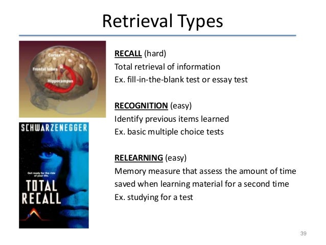 Essay on memory