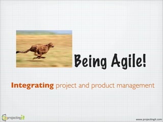 Being Agile!
Integrating project and product management

www.projec)ngit.com

 