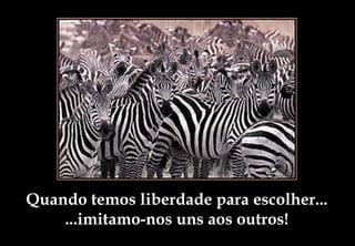 Quando temos liberdade para escolher...
    ...imitamo-nos uns aos outros!
 