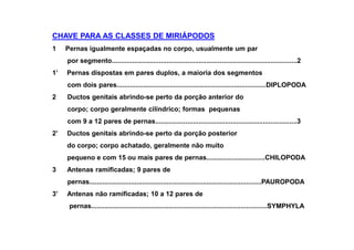 CHAVE PARA AS CLASSES DE MIRIÁPODOS
1    Pernas igualmente espaçadas no corpo, usualmente um par
     por segmento..................................................................................................2
1’   Pernas dispostas em pares duplos, a maioria dos segmentos
     com dois pares...............................................................................DIPLOPODA
2    Ductos genitais abrindo-se perto da porção anterior do
     corpo; corpo geralmente cilíndrico; formas pequenas
     com 9 a 12 pares de pernas...........................................................................3
2’   Ductos genitais abrindo-se perto da porção posterior
     do corpo; corpo achatado, geralmente não muito
     pequeno e com 15 ou mais pares de pernas...............................CHILOPODA
3    Antenas ramificadas; 9 pares de
     pernas...........................................................................................PAUROPODA
3’   Antenas não ramificadas; 10 a 12 pares de
      pernas.............................................................................................SYMPHYLA
 