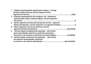 7     Estípites do gnatoquilário amplamente contíguos ao longo
     da linha mediana atrás das lâminas linguais; terceiro
     segmento sem pernas............................................................................................Jùlida
7’    Estípites do gnatoquilário não contíguos, mas largamente
      separados pelo mento e lâminas linguais; terceiro segmento
      com pernas...................................................................................................................8
8     Quinto segmento com dois pares de pernas; terceiro segmento
      aberto ventralmente, o quarto segmento e os seguintes fechados................................9
8’    Quinto segmento com um par de pernas; terceiro
      segmento fechado ventralmente..................................................................Spirobólida
9      Lâminas linguais completamente separadas pelo mento;
      pares de gonópodos anteriores e posteriores presentes e
      funcionais, o par posterior usualmente com longos flagelos.........................Cambálida
9’    Lâminas linguais usualmente não separadas pelo mento;
      par posterior dos gonópodos rudimentar
      ou ausente, o par anterior aperfeiçoado.................................................Spirostréptida
 