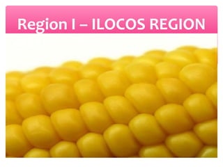Region I – ILOCOS REGION

 