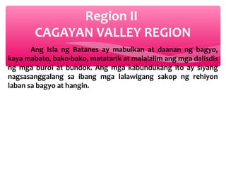 Region II
CAGAYAN VALLEY REGION
Ang Isla ng Batanes ay mabulkan at daanan ng bagyo,
kaya mabato, bako-bako, matatarik at malalalim ang mga dalisdis
ng mga burol at bundok. Ang mga kabundukang ito ay siyang
nagsasanggalang sa ibang mga lalawigang sakop ng rehiyon
laban sa bagyo at hangin.

 