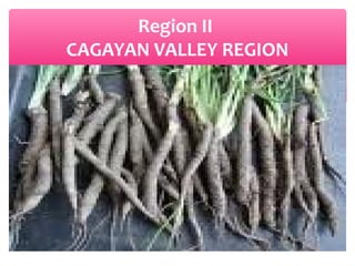Region II
CAGAYAN VALLEY REGION

 