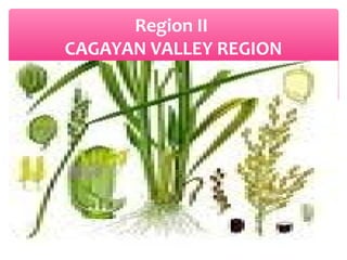 Region II
CAGAYAN VALLEY REGION

 