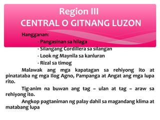 Region III
CENTRAL O GITNANG LUZON
Hangganan:
- Pangasinan sa hilaga
- Silangang Cordillera sa silangan
- Look ng Maynila sa kanluran
- Rizal sa timog
Malawak ang mga kapatagan sa rehiyong ito at
pinatataba ng mga Ilog Agno, Pampanga at Angat ang mga lupa
rito.
Tig-anim na buwan ang tag – ulan at tag – araw sa
rehiyong ito.
Angkop pagtaniman ng palay dahil sa magandang klima at
matabang lupa

 