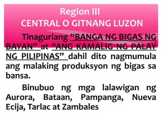 Region III
CENTRAL O GITNANG LUZON
Tinaguriang “BANGA NG BIGAS NG
BAYAN” at “ANG KAMALIG NG PALAY
NG PILIPINAS” dahil dito nagmumula
ang malaking produksyon ng bigas sa
bansa.
Binubuo ng mga lalawigan ng
Aurora, Bataan, Pampanga, Nueva
Ecija, Tarlac at Zambales

 