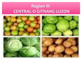 Region III
CENTRAL O GITNANG LUZON

 