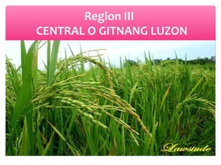 Region III
CENTRAL O GITNANG LUZON

 