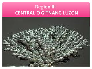 Region III
CENTRAL O GITNANG LUZON

 