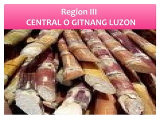 Region III
CENTRAL O GITNANG LUZON

 