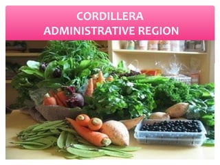 CORDILLERA
ADMINISTRATIVE REGION

 