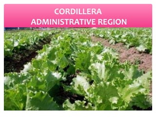 CORDILLERA
ADMINISTRATIVE REGION

 