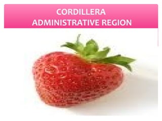 CORDILLERA
ADMINISTRATIVE REGION

 
