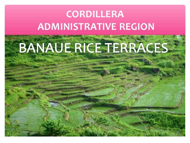 7 presidential decree module Ap