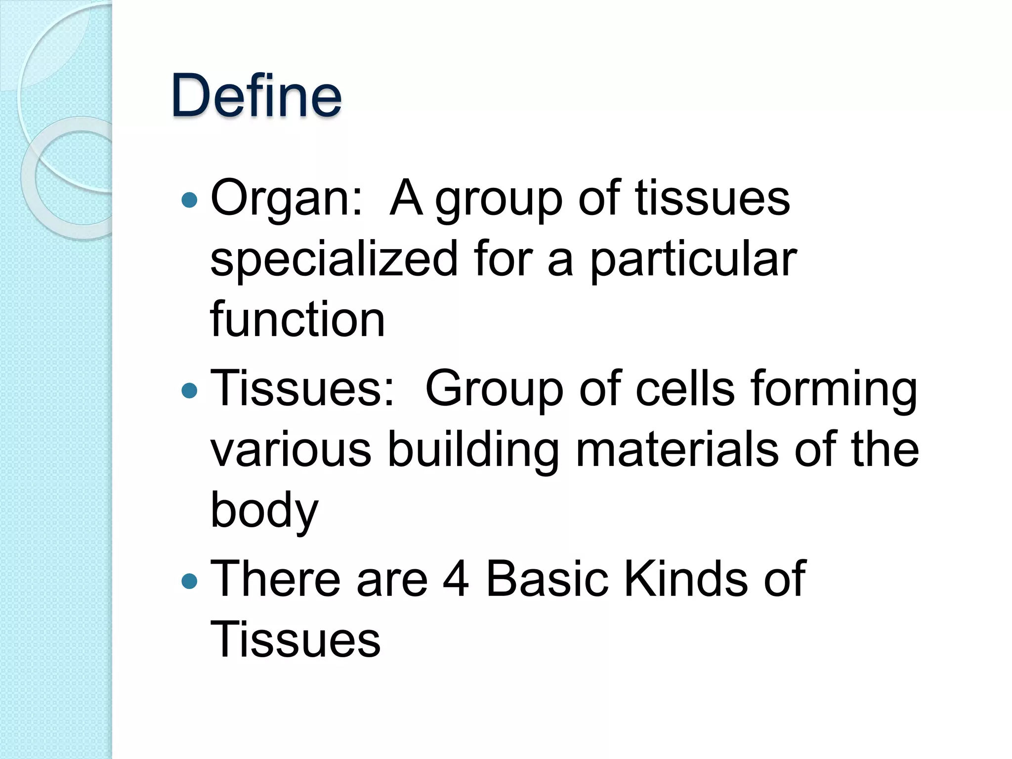 Define 
 Organ: A group of tissues 
specialized for a particular 
function 
 Tissues: Group of cells forming 
various building materials of the 
body 
 There are 4 Basic Kinds of 
Tissues 
 