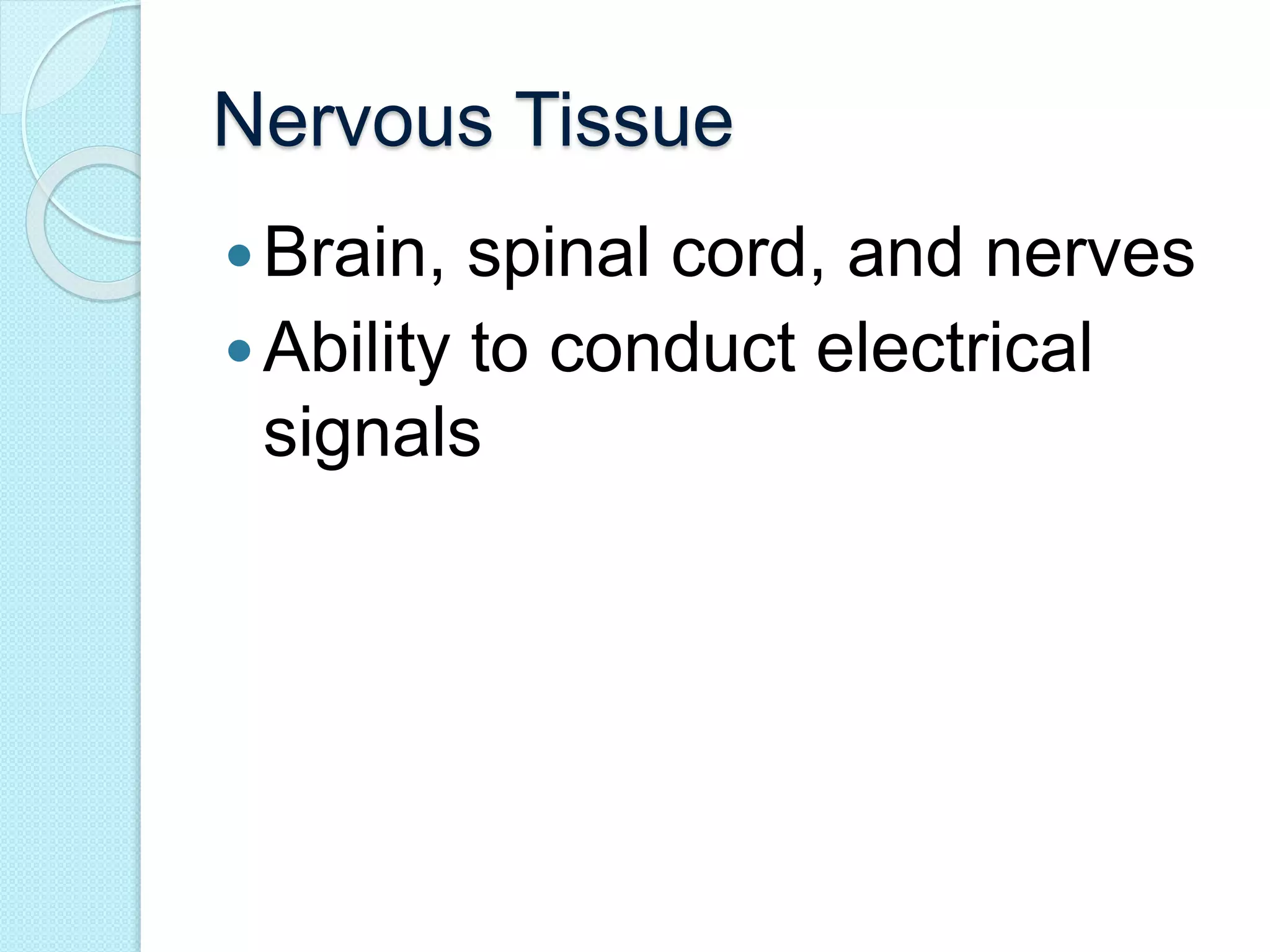 Nervous Tissue 
 Brain, spinal cord, and nerves 
 Ability to conduct electrical 
signals 
 