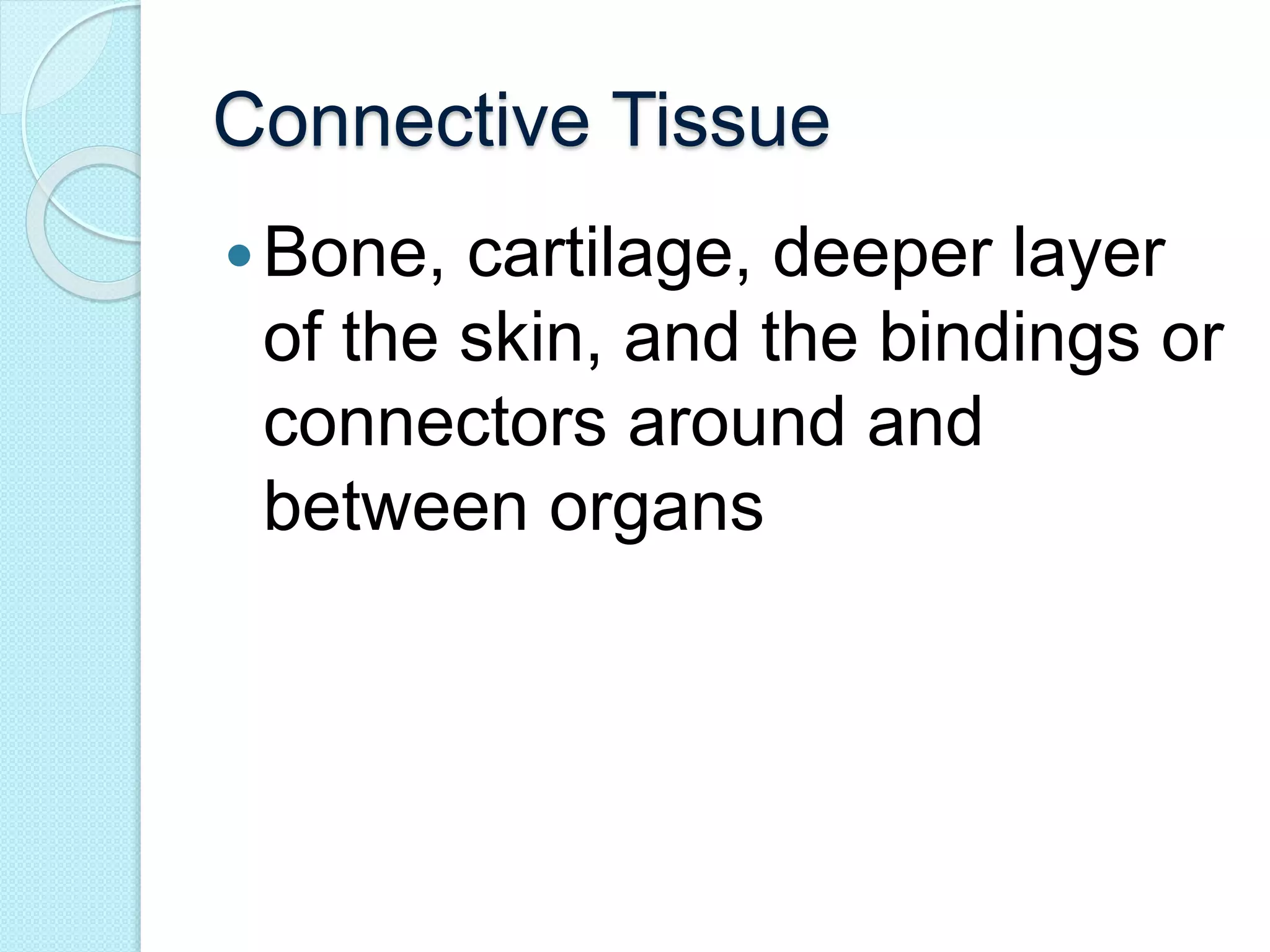 Connective Tissue 
Bone, cartilage, deeper layer 
of the skin, and the bindings or 
connectors around and 
between organs 
 