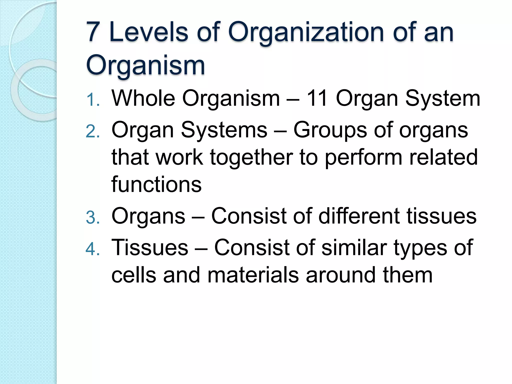 7 Levels of Organization of an 
Organism 
1. Whole Organism – 11 Organ System 
2. Organ Systems – Groups of organs 
that work together to perform related 
functions 
3. Organs – Consist of different tissues 
4. Tissues – Consist of similar types of 
cells and materials around them 
 