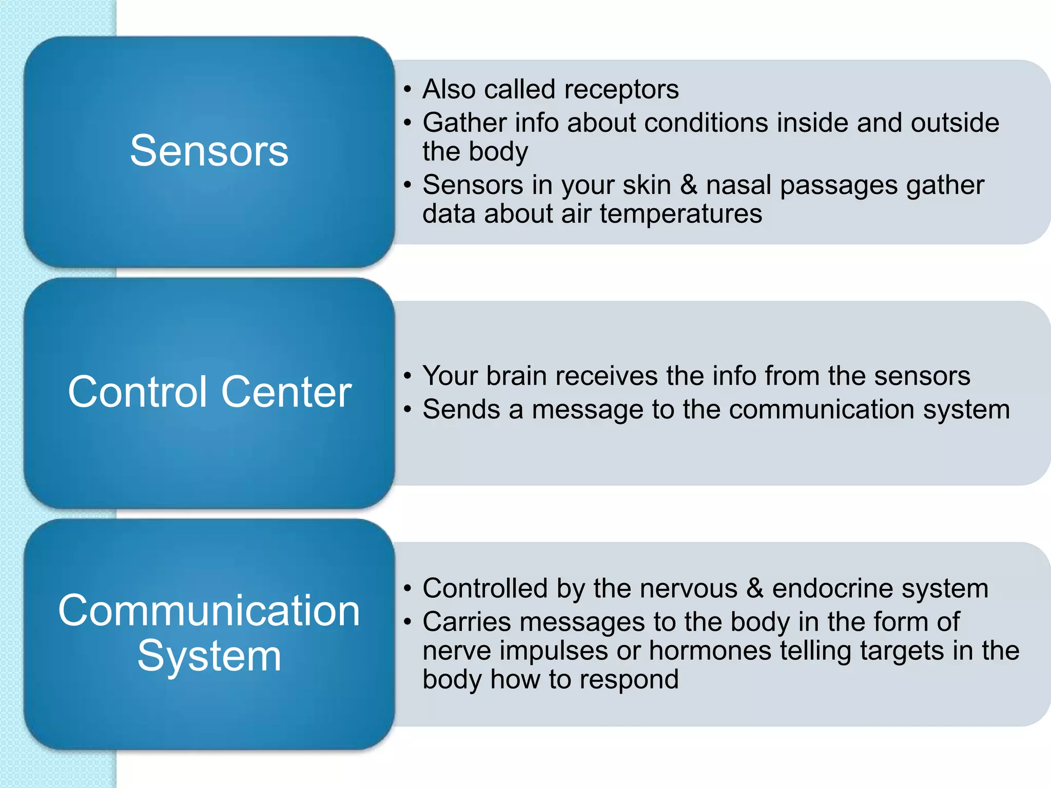 • Also called receptors 
• Gather info about conditions inside and outside 
the body 
• Sensors in your skin & nasal passages gather 
data about air temperatures 
Sensors 
• Your brain receives the info from the sensors 
• Sends a message to the communication system Control Center 
• Controlled by the nervous & endocrine system 
• Carries messages to the body in the form of 
nerve impulses or hormones telling targets in the 
body how to respond 
Communication 
System 
 