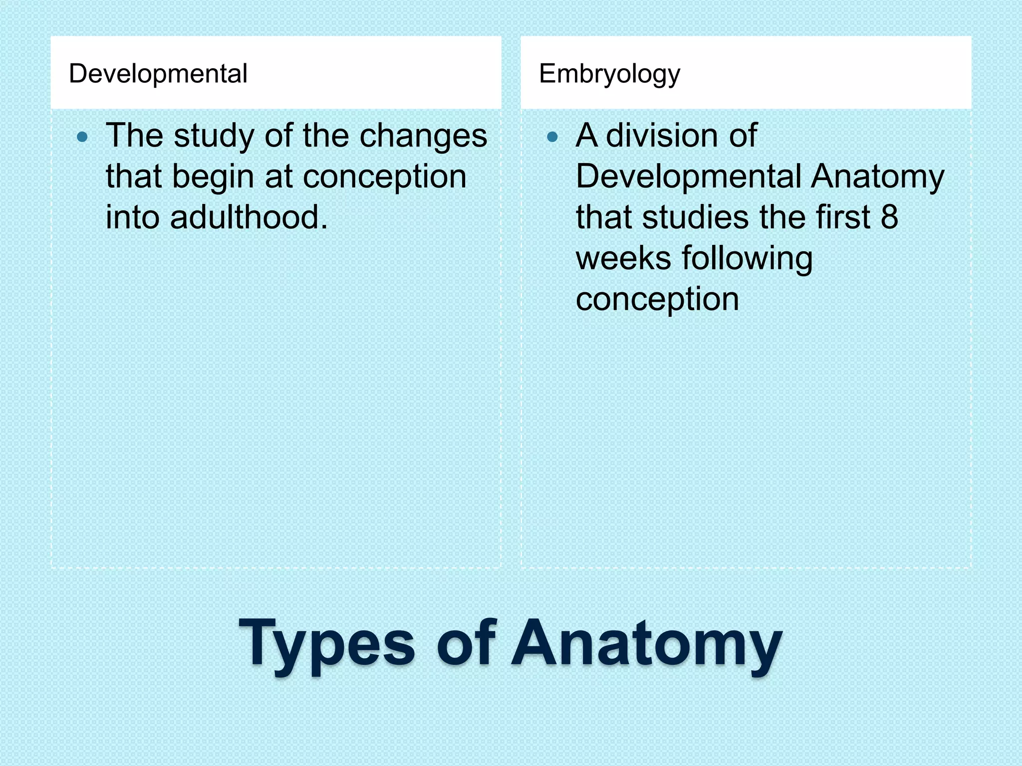 Developmental Embryology 
 The study of the changes 
that begin at conception 
into adulthood. 
 A division of 
Developmental Anatomy 
that studies the first 8 
weeks following 
conception 
Types of Anatomy 
 