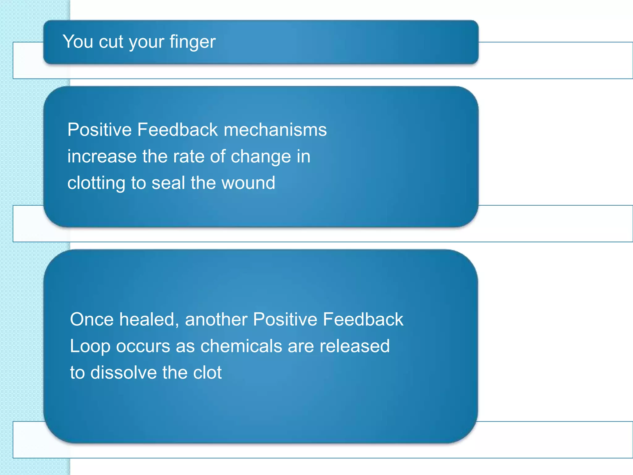 You cut your finger 
Positive Feedback mechanisms 
increase the rate of change in 
clotting to seal the wound 
Once healed, another Positive Feedback 
Loop occurs as chemicals are released 
to dissolve the clot 
 