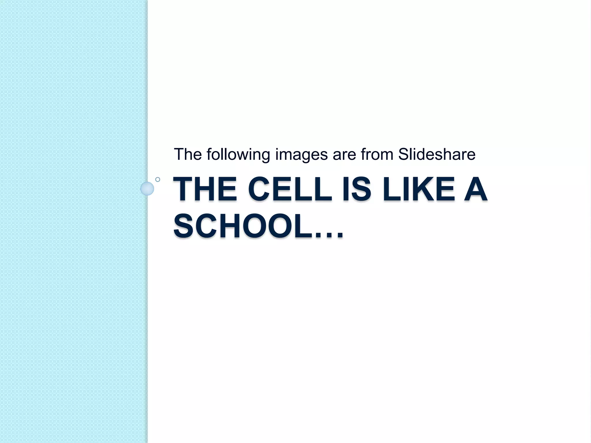 The following images are from Slideshare 
THE CELL IS LIKE A 
SCHOOL… 
 