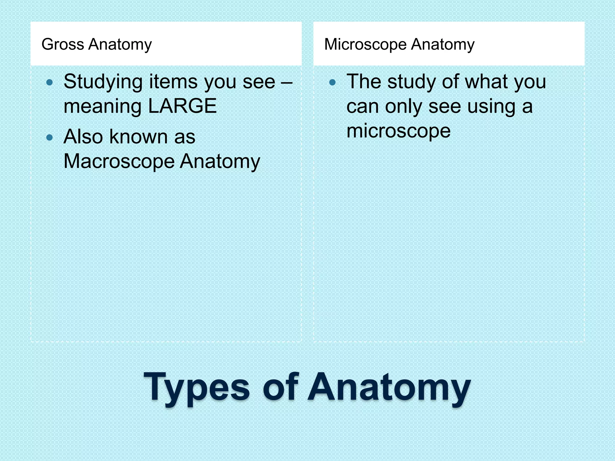 Gross Anatomy Microscope Anatomy 
 Studying items you see – 
meaning LARGE 
 Also known as 
Macroscope Anatomy 
 The study of what you 
can only see using a 
microscope 
Types of Anatomy 
 