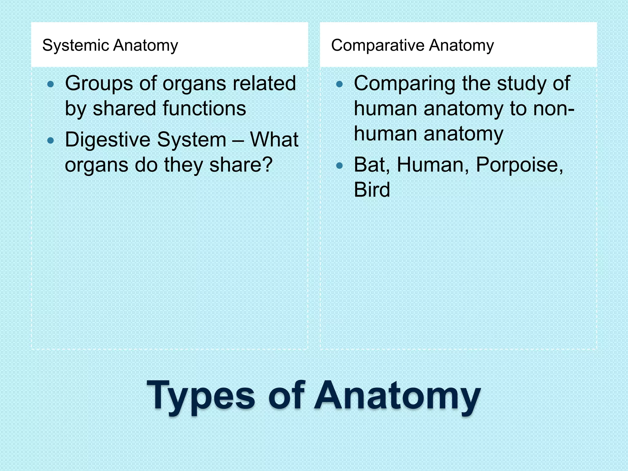 Systemic Anatomy Comparative Anatomy 
 Groups of organs related 
by shared functions 
 Digestive System – What 
organs do they share? 
 Comparing the study of 
human anatomy to non-human 
anatomy 
 Bat, Human, Porpoise, 
Bird 
Types of Anatomy 
 