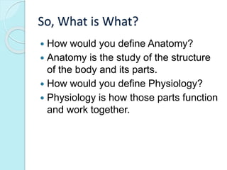 So, What is What? 
 How would you define Anatomy? 
 Anatomy is the study of the structure 
of the body and its parts. 
 How would you define Physiology? 
 Physiology is how those parts function 
and work together. 
 