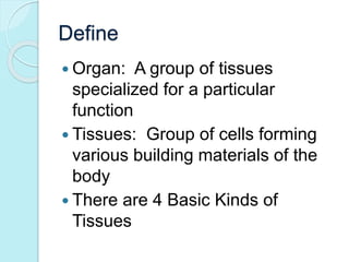 Define 
 Organ: A group of tissues 
specialized for a particular 
function 
 Tissues: Group of cells forming 
various building materials of the 
body 
 There are 4 Basic Kinds of 
Tissues 
 