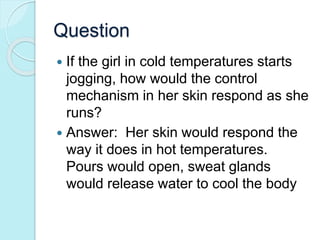 Question 
 If the girl in cold temperatures starts 
jogging, how would the control 
mechanism in her skin respond as she 
runs? 
 Answer: Her skin would respond the 
way it does in hot temperatures. 
Pours would open, sweat glands 
would release water to cool the body 
 