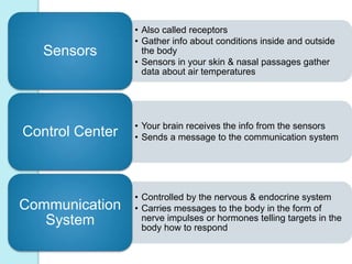• Also called receptors 
• Gather info about conditions inside and outside 
the body 
• Sensors in your skin & nasal passages gather 
data about air temperatures 
Sensors 
• Your brain receives the info from the sensors 
• Sends a message to the communication system Control Center 
• Controlled by the nervous & endocrine system 
• Carries messages to the body in the form of 
nerve impulses or hormones telling targets in the 
body how to respond 
Communication 
System 
 