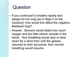 Question 
 If you continued to breathe rapidly and 
deeply for too long (as in Step 4 on the 
handout), how would this affect the negative 
feedback loop? 
 Answer: Sensors would detect too much 
oxygen and too little carbon dioxide in the 
blood. Your breathing would stop or slow 
down for a short time until the gasses 
returned to their set points; then normal 
breathing would resume. 
 