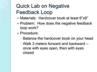 Quick Lab on Negative 
Feedback Loop 
 Materials: Hardcover book at least 6”x9” 
 Problem: How does the negative feedback 
loop work? 
 Procedure: 
◦ Balance the hardcover book on your head 
◦ Walk 3 meters forward and backward – 
once with eyes open, then with eyes 
closed 
 