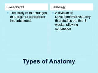 Developmental Embryology 
 The study of the changes 
that begin at conception 
into adulthood. 
 A division of 
Developmental Anatomy 
that studies the first 8 
weeks following 
conception 
Types of Anatomy 
 